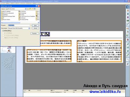 ReadiRis Pro - программа распознавания японского текста