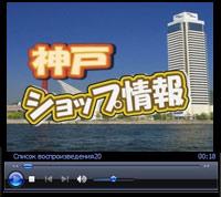 Seebit TV, Japan